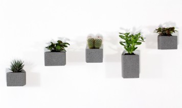 aera-wall-planters-set-of-5-m-dex-design-miles-dexter-clippings-1411371